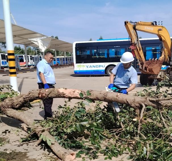 公交公司迅速響應(yīng)災(zāi)后清障工作，全力以赴恢復(fù)車輛運(yùn)營
